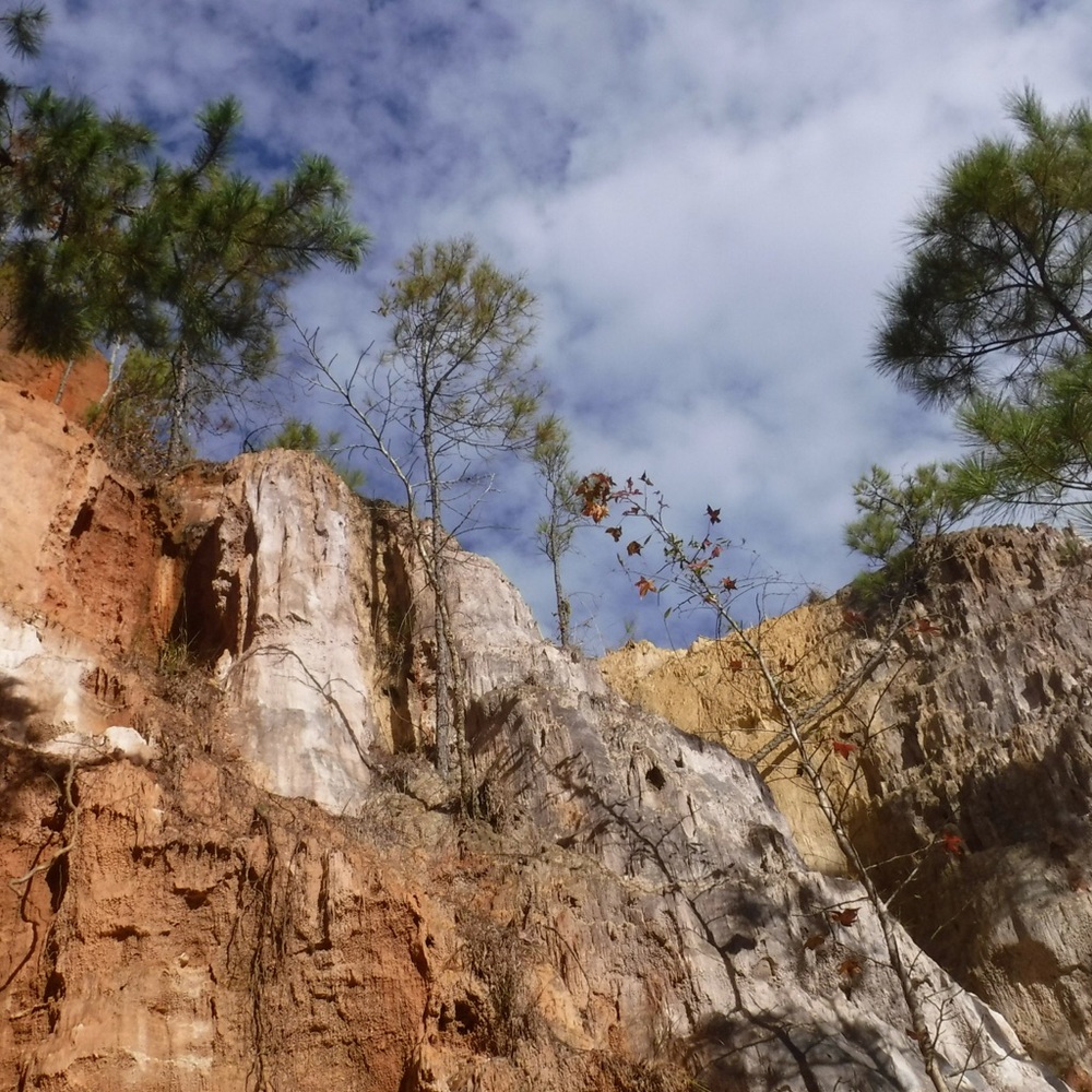 Meet your Posher, Angel